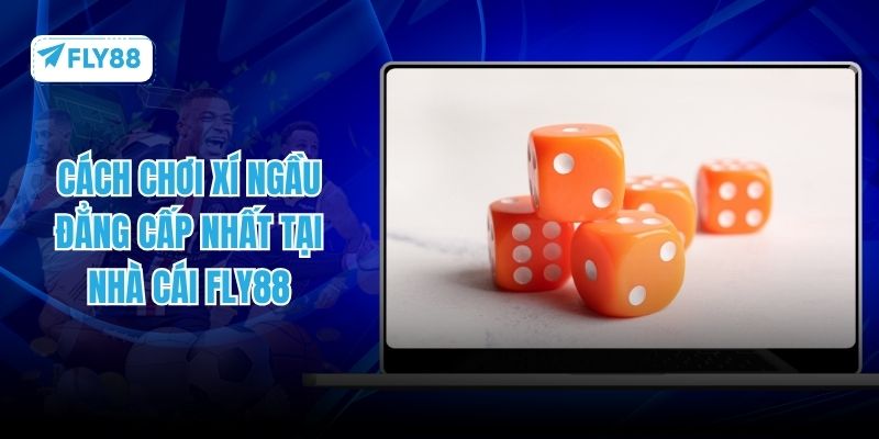 cách chơi xí ngầu fly88