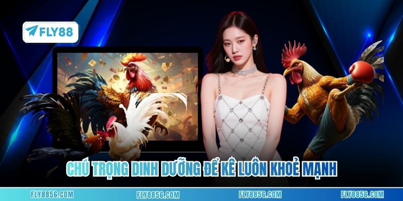 Chú trọng dinh dưỡng để kê luôn khoẻ mạnh