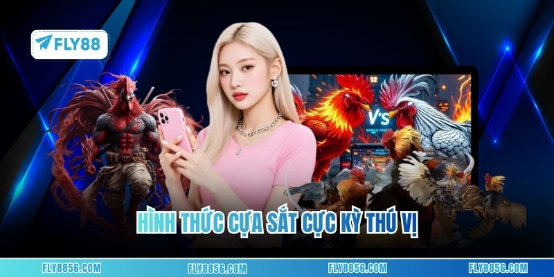 Hình thức cựa sắt cực kỳ thú vị