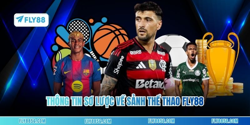 Thông tin sơ lược về sảnh thể thao FLY88